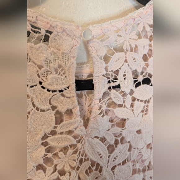 Joie Charnette Floral Lace Top in Rosewater - Picture 5 of 8